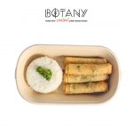 Botany Packed Meal - Shanghai Rolls w/ Rice (10 packs)